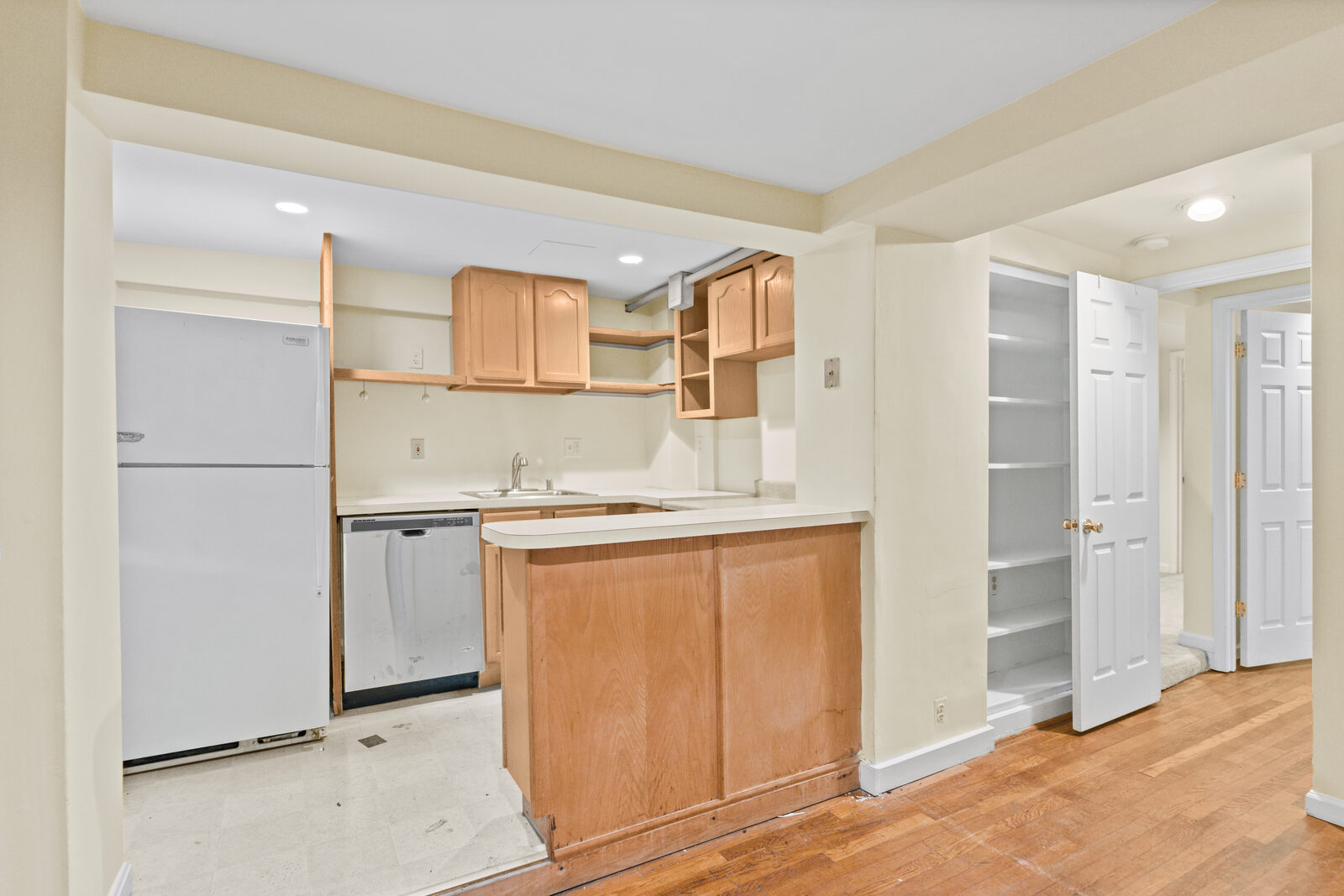 Basement Kitchen